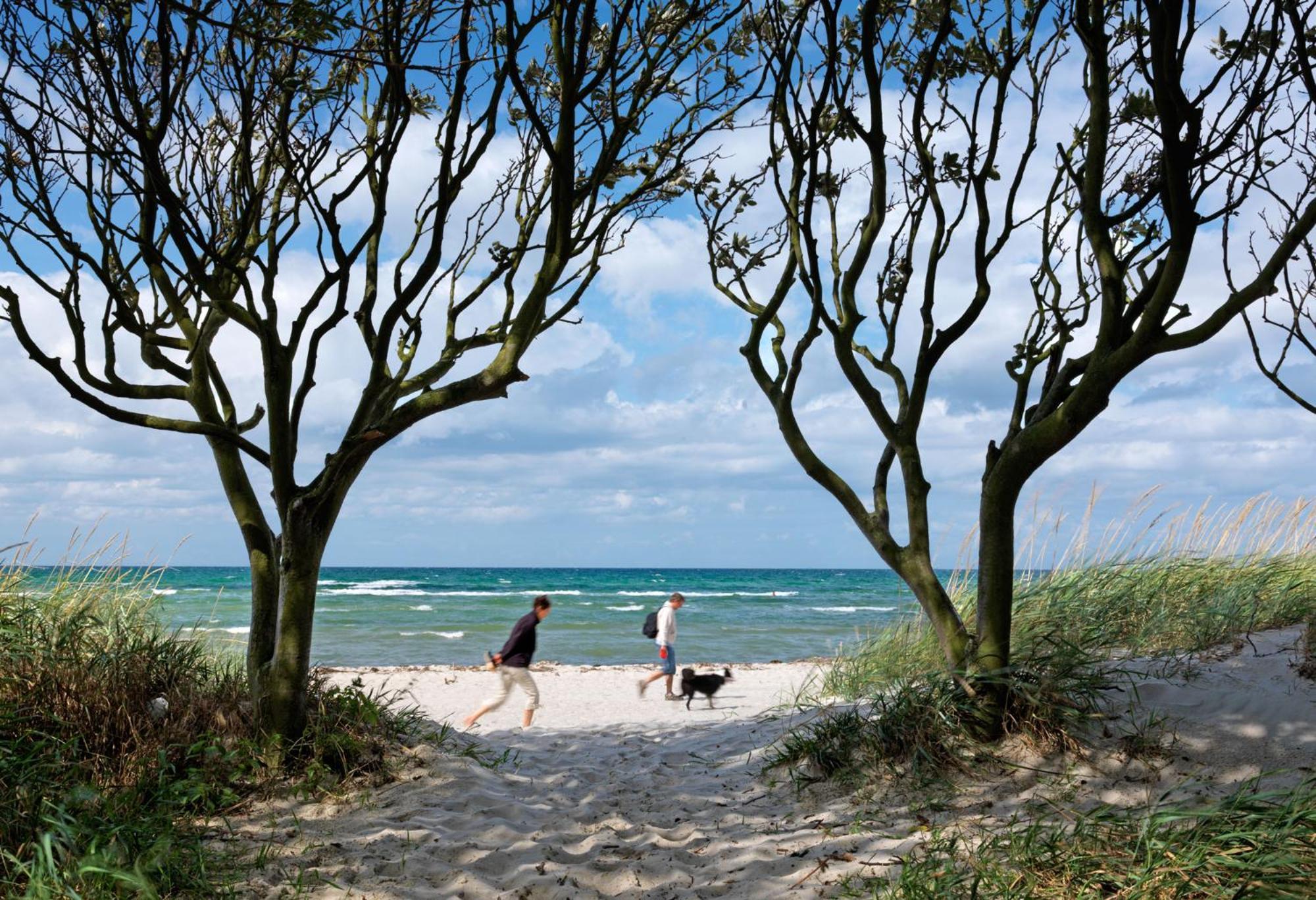 Insel-Idyll Sonnenschein Διαμέρισμα Insel Poel Εξωτερικό φωτογραφία